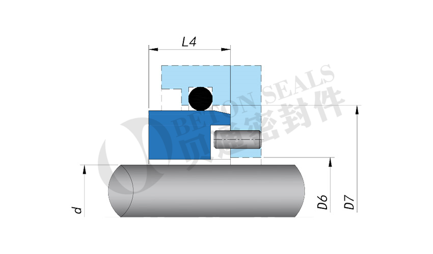 BSN-2.jpg